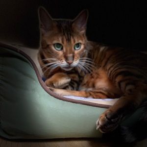 Meet your Posher, Valerie